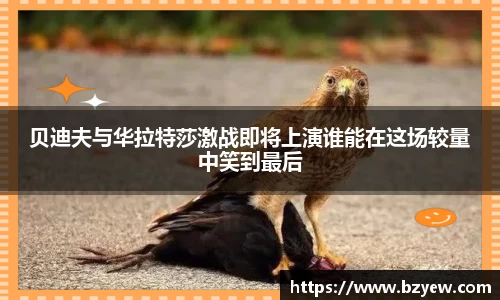 好博体育APP